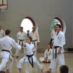 Karate-Do